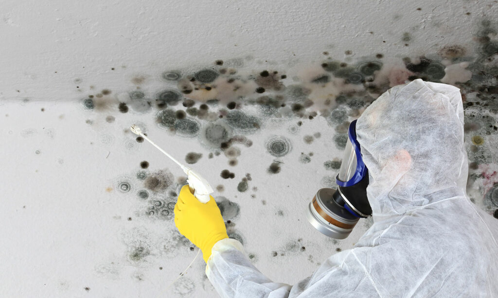 Mold Remediation