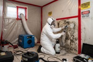 Professional mold remediation with containment and protective gear.